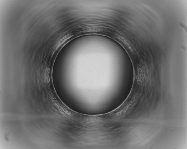 X0000098020786200804071352