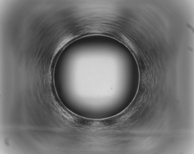 X0000098020787200804071352