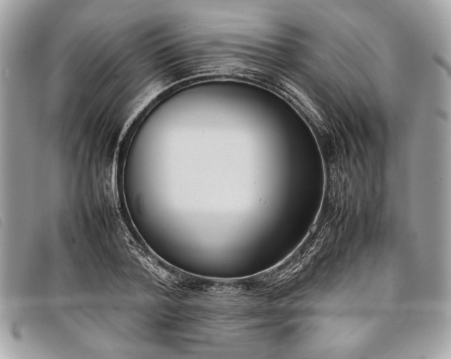 X0000098020788200804071352