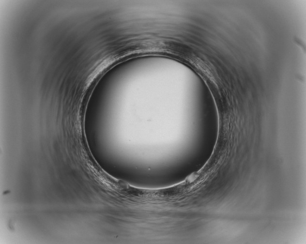 X0000098020789200804071352