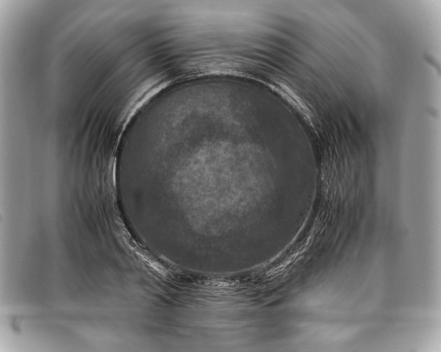 X0000098020790200804071352