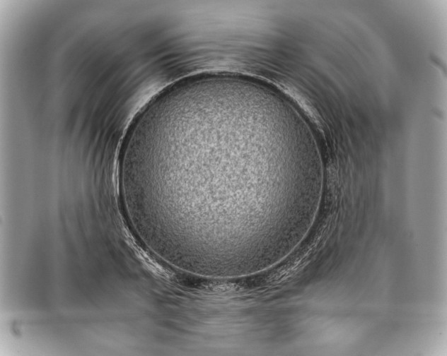 X0000098020791200804071352