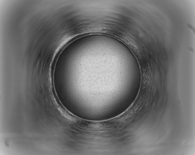 X0000098020792200804071352