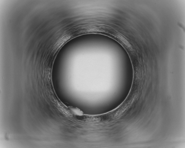 X0000098020793200804071352