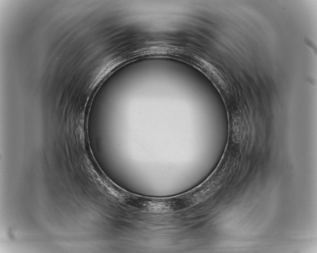 X0000098020794200804071352