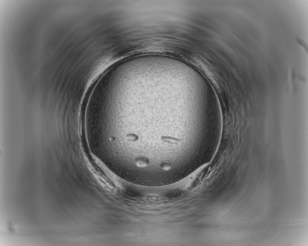 X0000098020795200804071352