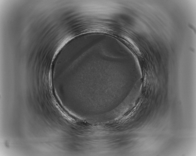 X0000098020796200804071352