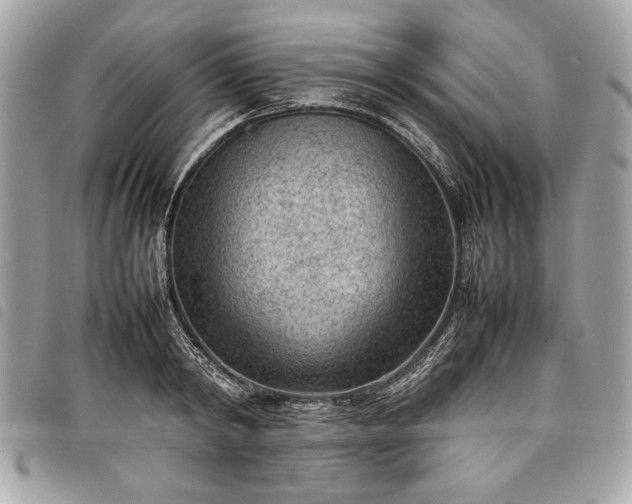 X0000098020798200804071352