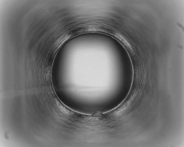 X0000098020801200804071352