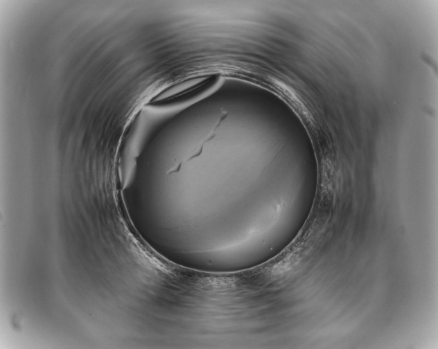 X0000098020802200804071352