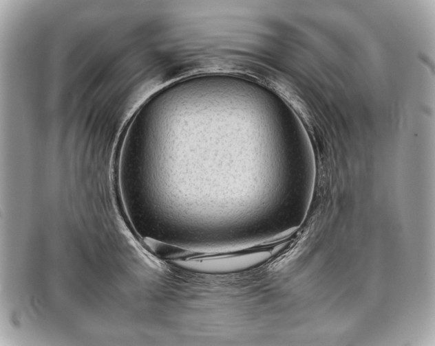 X0000098020803200804071352