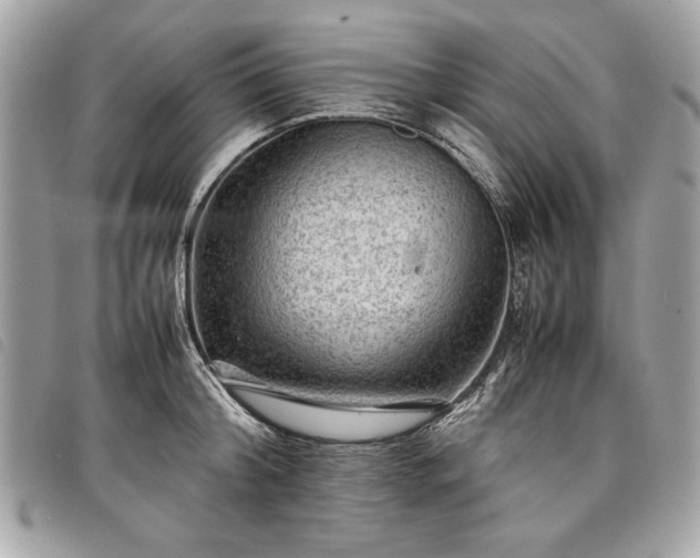 X0000098020804200804071352