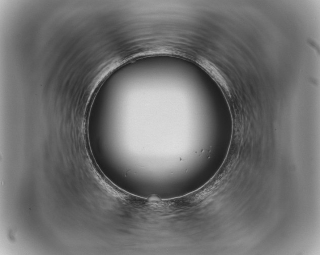 X0000098020805200804071352