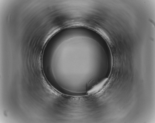 X0000098020806200804071352