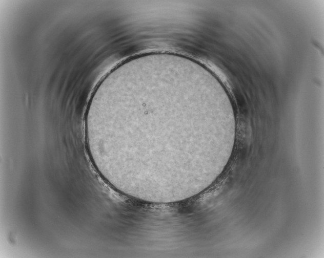 X0000098020807200804071352