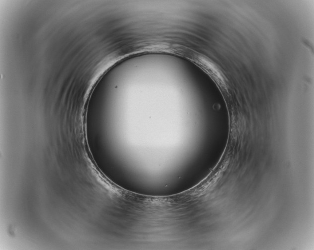 X0000098020808200804071352