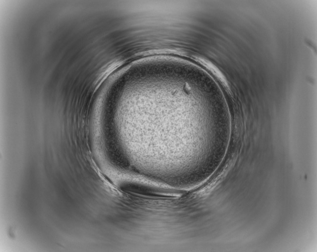 X0000098020809200804071352