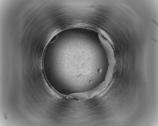 X0000098020810200804071352