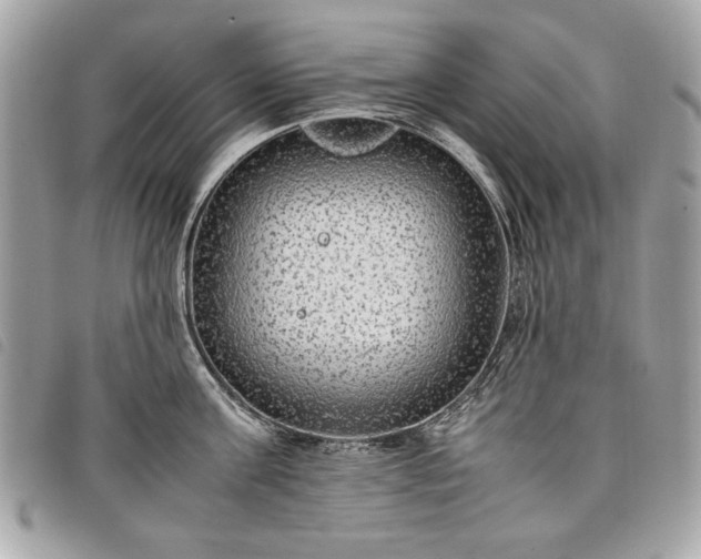 X0000098020811200804071352