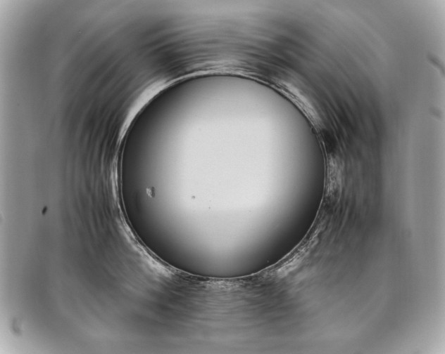 X0000098020812200804071352