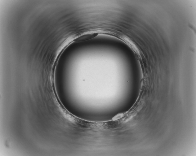 X0000098020813200804071352