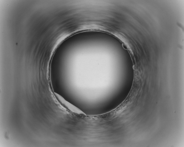 X0000098020815200804071352