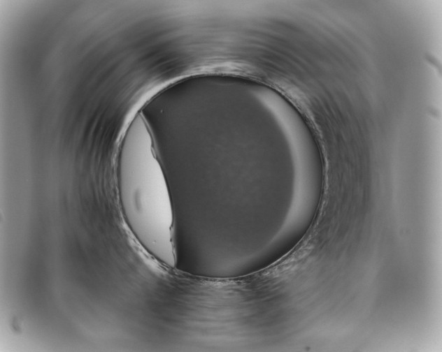 X0000098020816200804071352