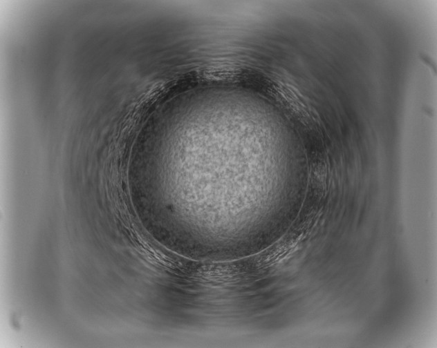 X0000098020817200804071351