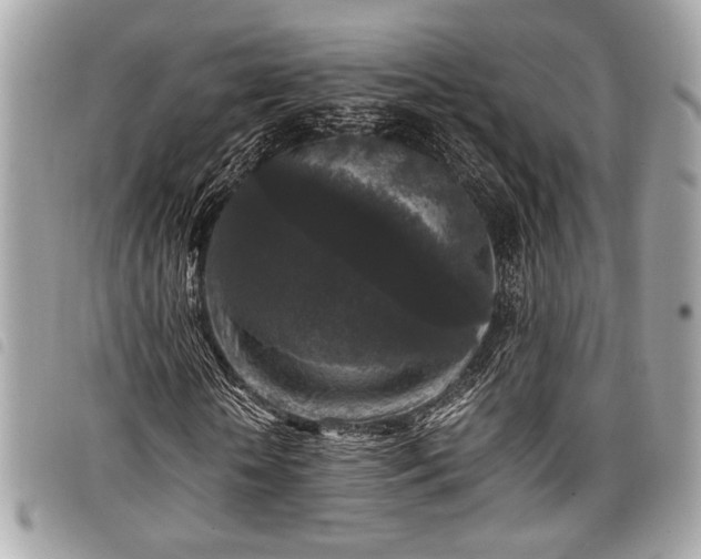 X0000098020818200804071351