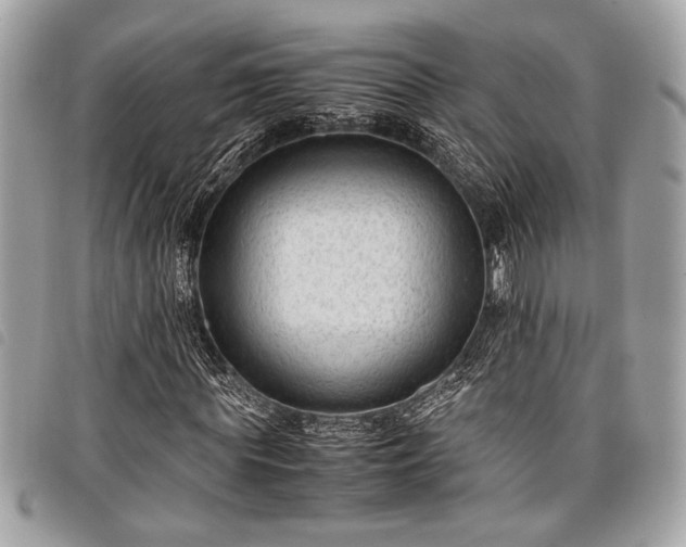 X0000098020819200804071351