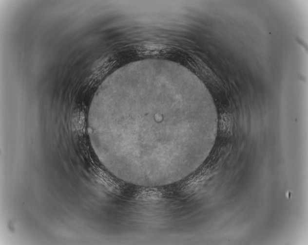 X0000098020820200804071351