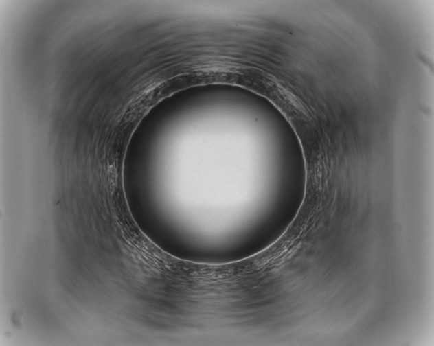 X0000098020821200804071351