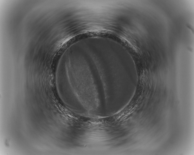 X0000098020822200804071351