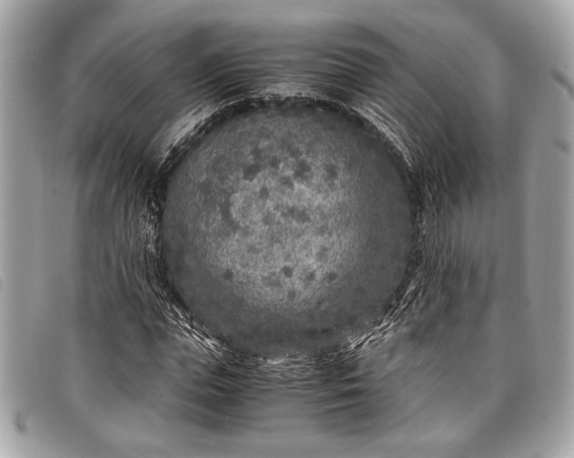 X0000098020823200804071351