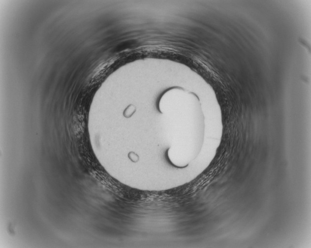 X0000098020824200804071351