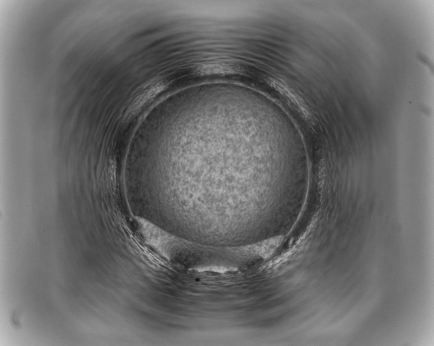 X0000098020825200804071351