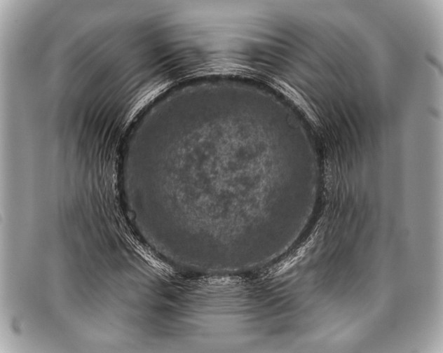 X0000098020826200804071351