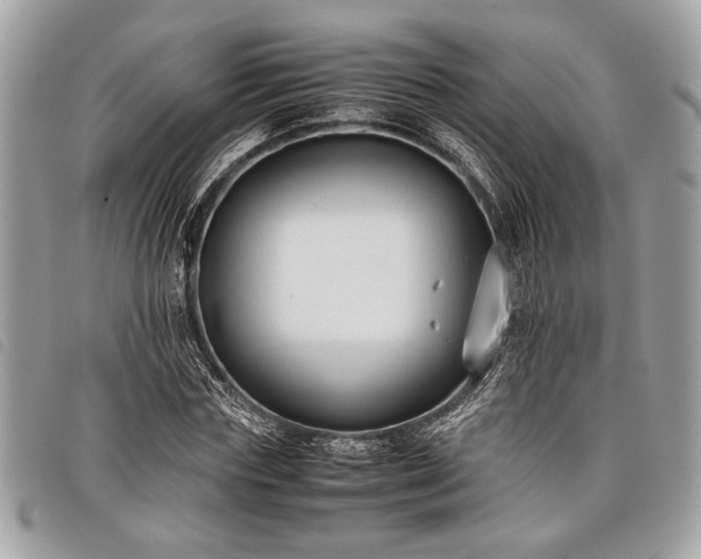 X0000098020827200804071351