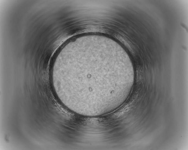 X0000098020828200804071351