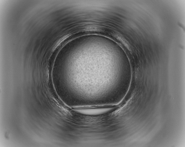 X0000098020829200804071351