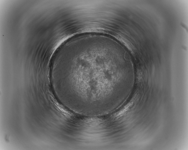 X0000098020830200804071351