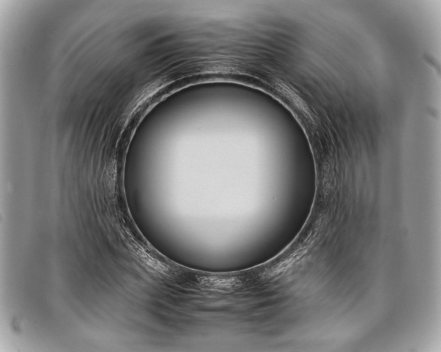 X0000098020831200804071351