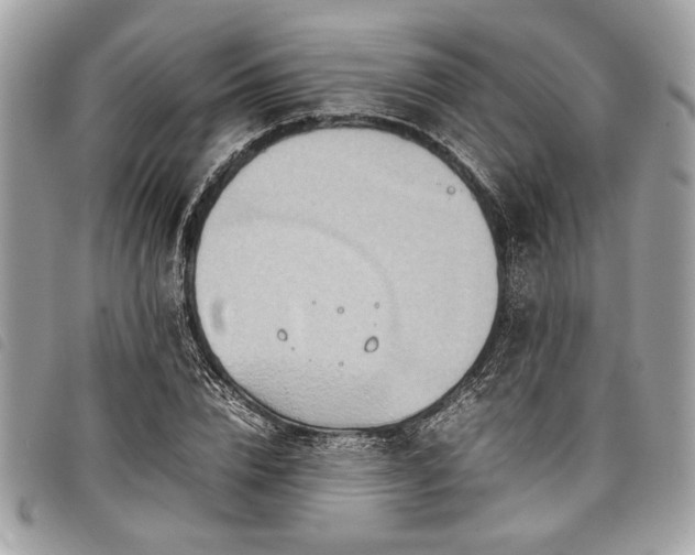 X0000098020832200804071351