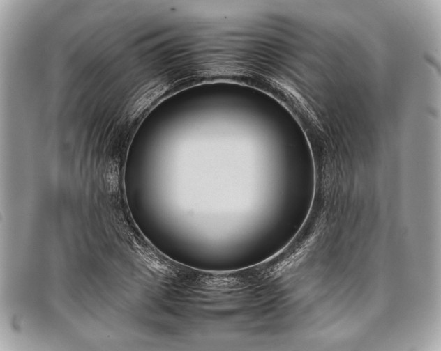 X0000098020833200804071351