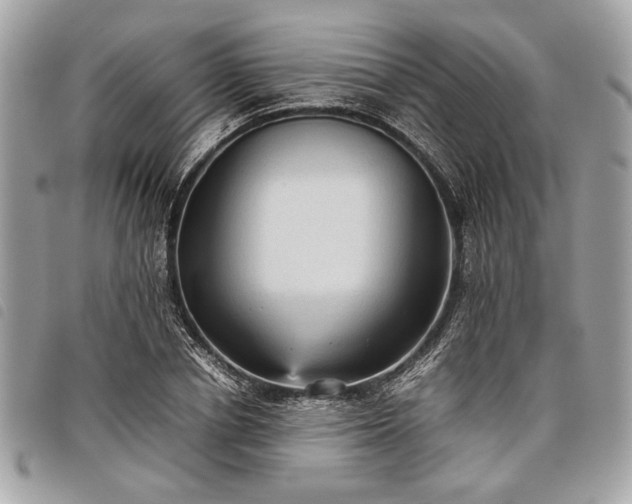 X0000098020834200804071351