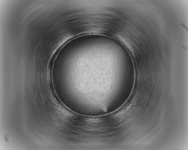 X0000098020835200804071351