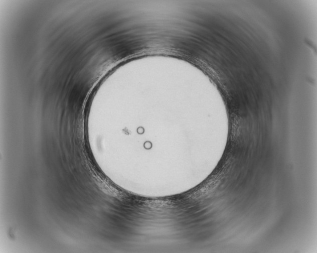 X0000098020836200804071351