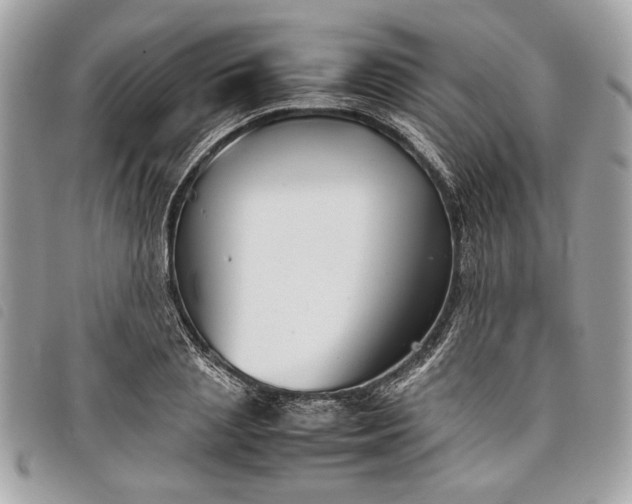 X0000098020837200804071351