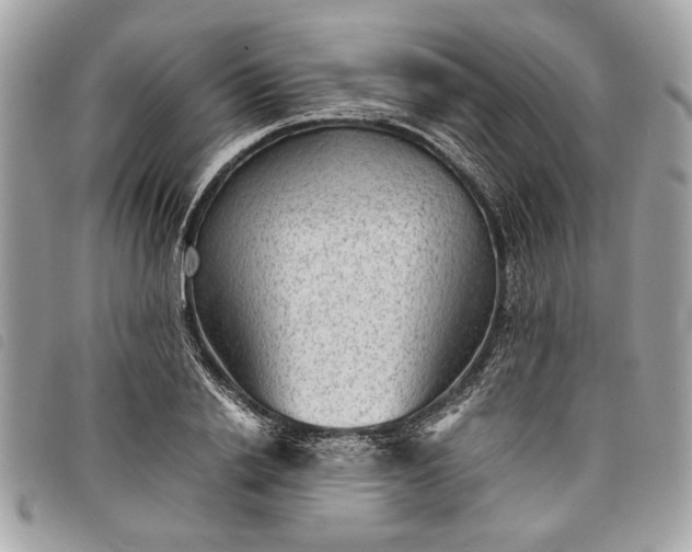 X0000098020838200804071351