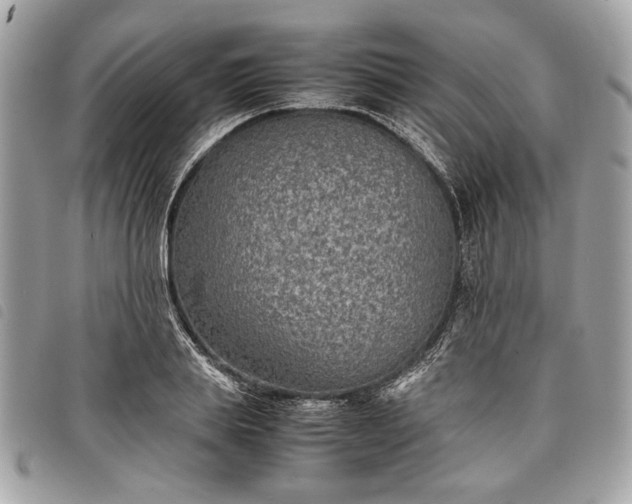 X0000098020839200804071351